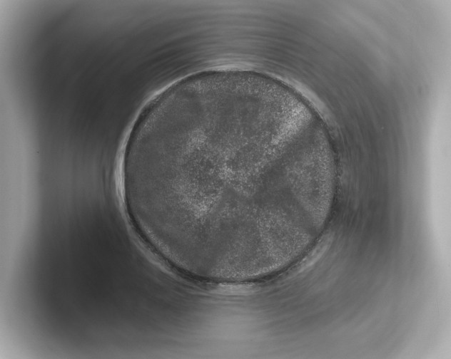 X0000101100840200807241026