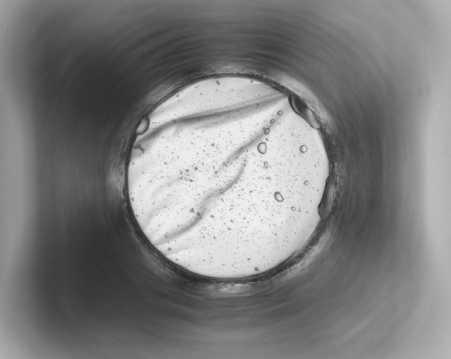 X0000101100841200807241026