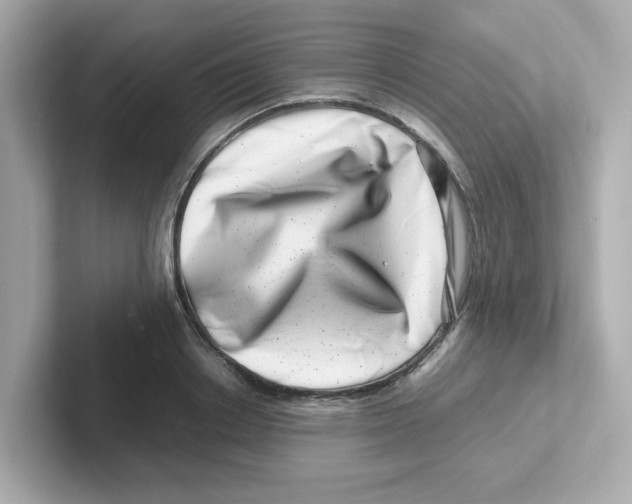 X0000101100842200807241026