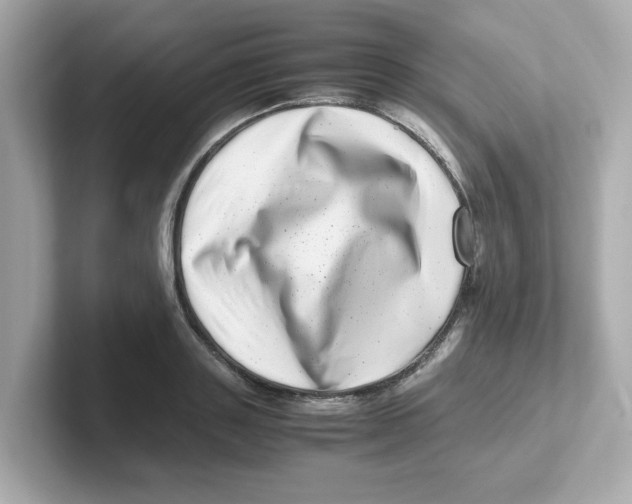 X0000101100843200807241026