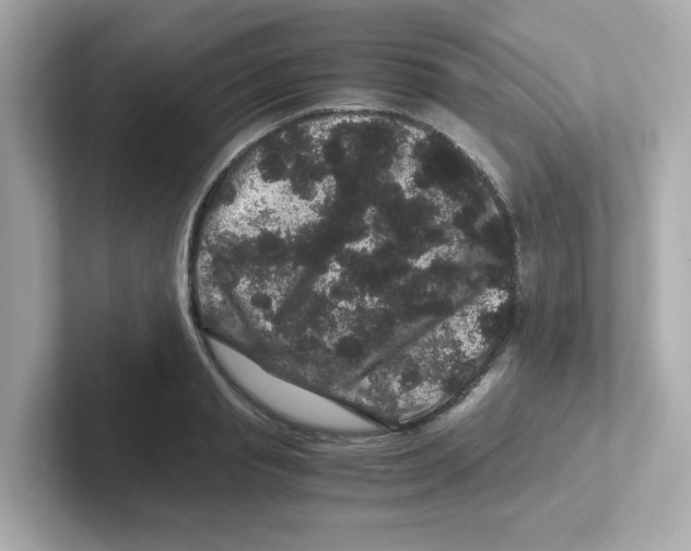 X0000101100845200807241026