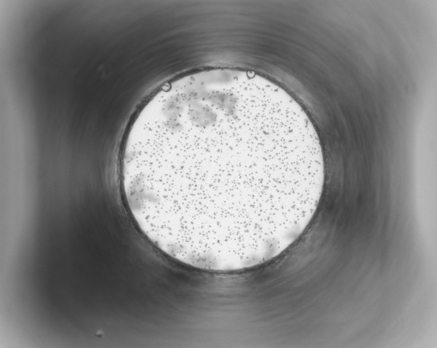 X0000101100848200807241026