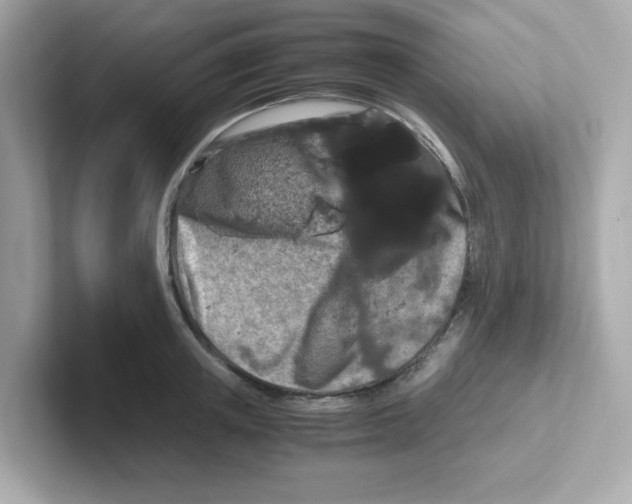 X0000101100851200807241026