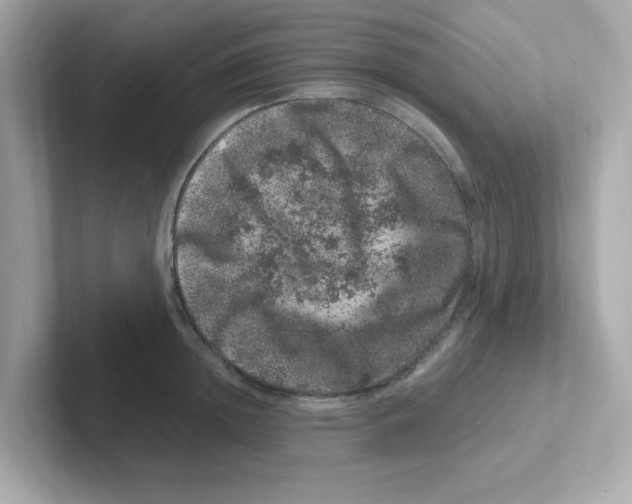 X0000101100852200807241026