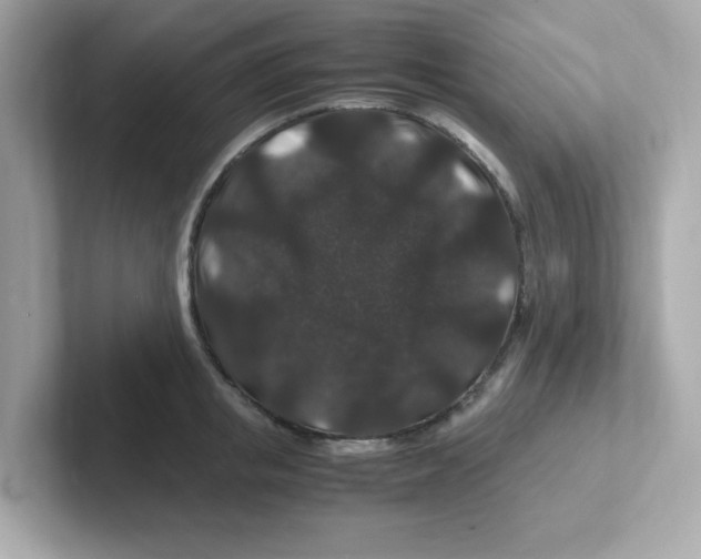 X0000101100853200807241026