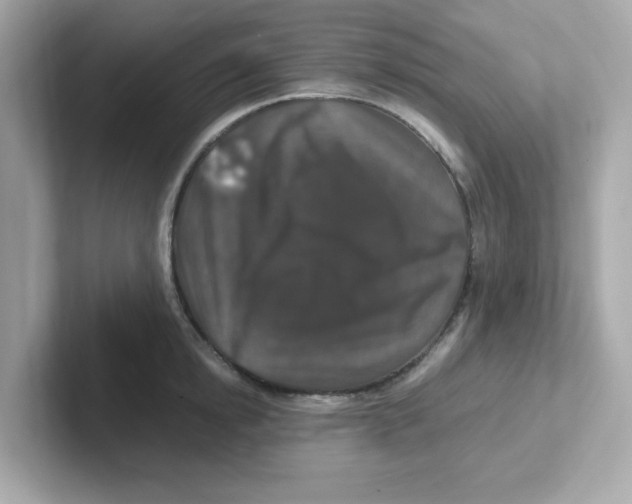 X0000101100854200807241026