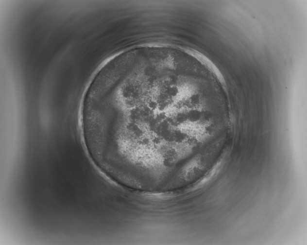 X0000101100855200807241026