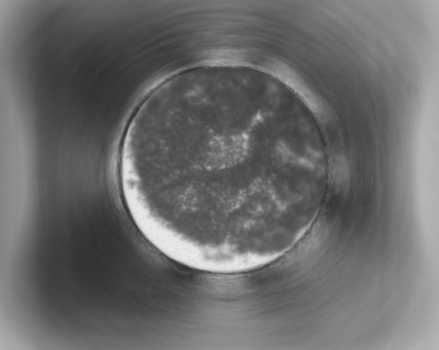 X0000101100856200807241026