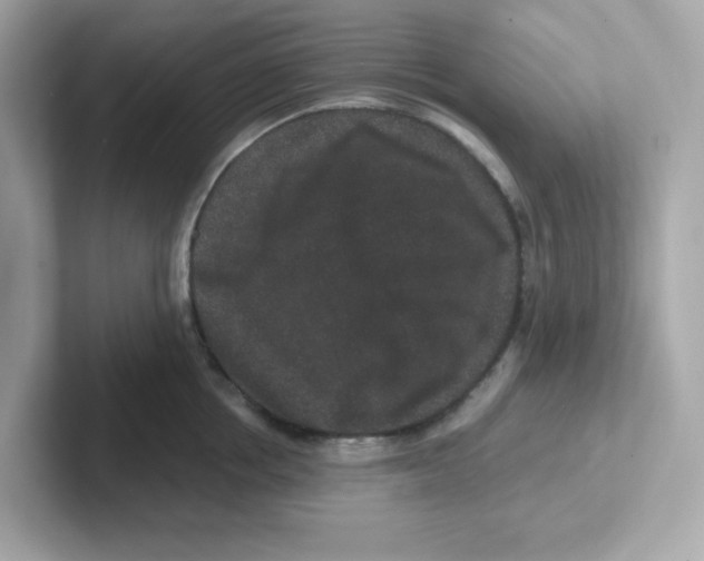 X0000101100858200807241026