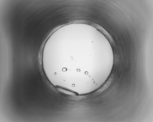 X0000101100860200807241026