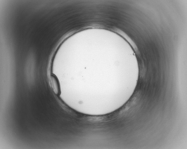 X0000101100861200807241026