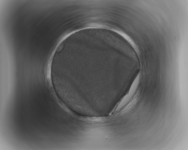 X0000101100862200807241026
