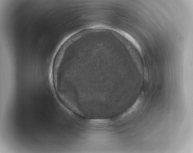 X0000101100863200807241026