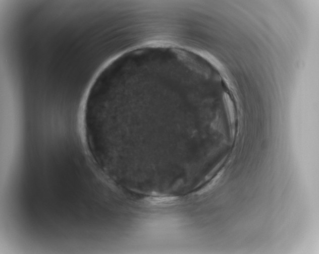 X0000101100864200807241026