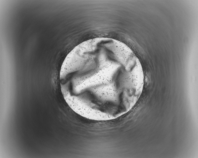 X0000101100867200807241026