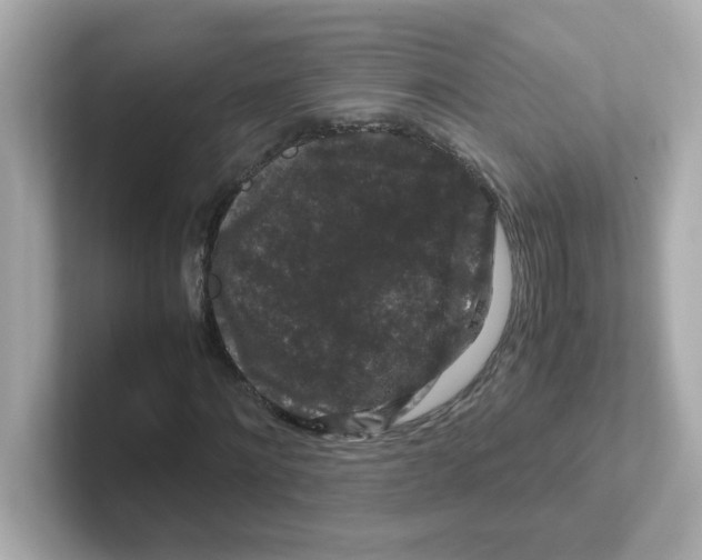 X0000101100868200807241026