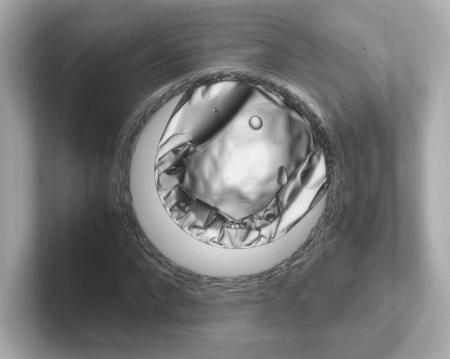 X0000101100872200807241026
