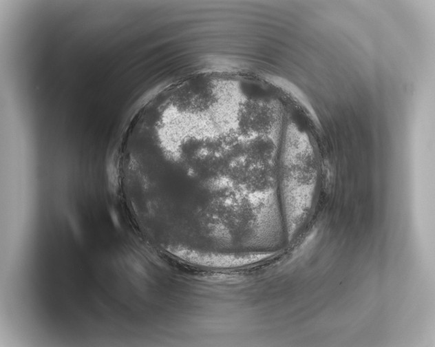 X0000101100874200807241026