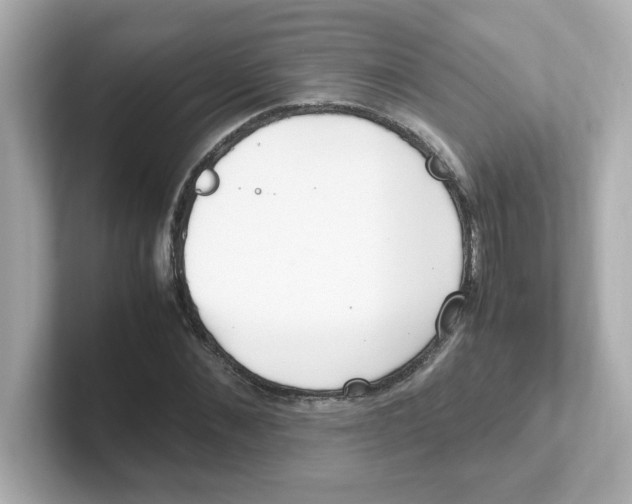 X0000101100876200807241026