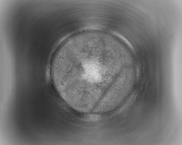X0000101100878200807241026