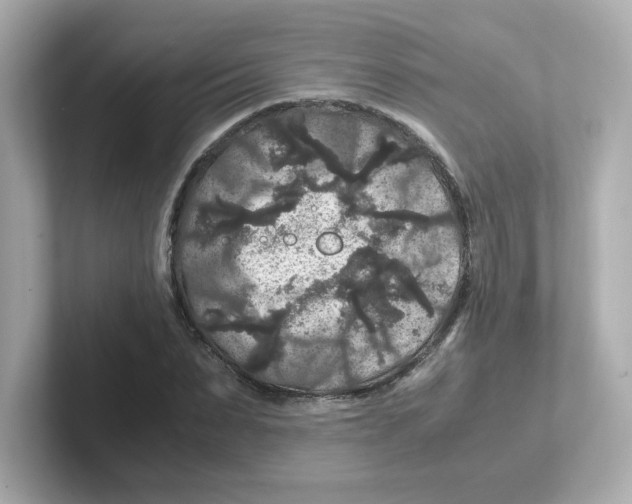 X0000101100879200807241026