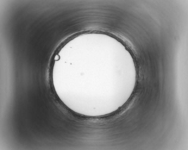 X0000101100880200807241026