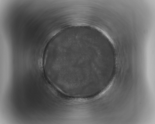 X0000101100881200807241026