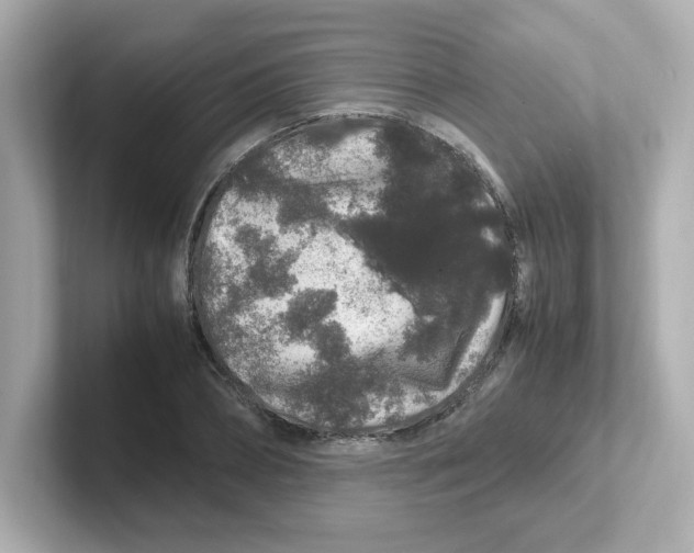 X0000101100882200807241026