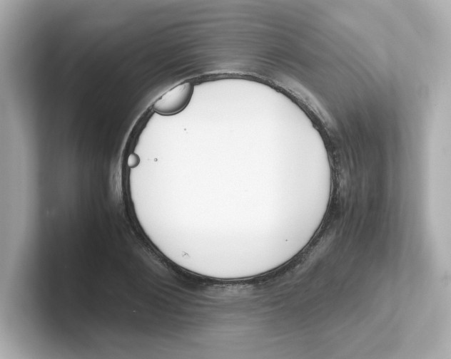 X0000101100884200807241026