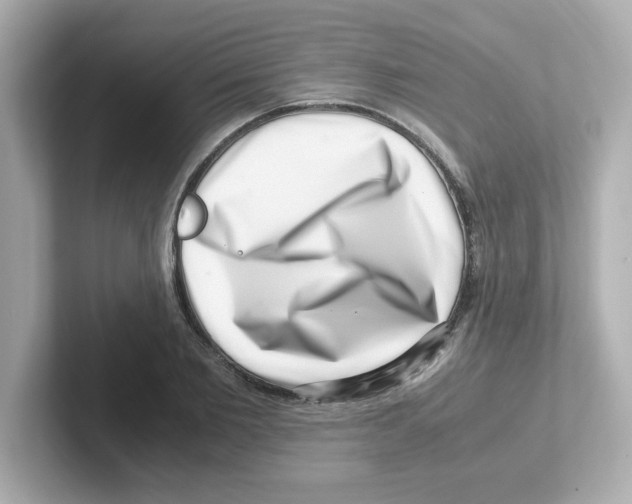X0000101100885200807241026