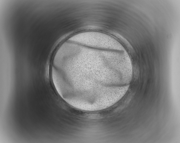 X0000101100886200807241026