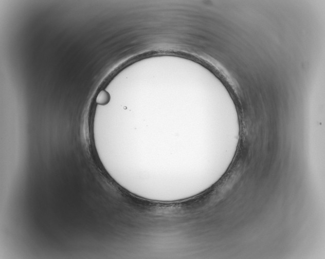 X0000101100887200807241026