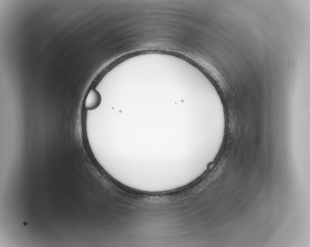 X0000101100888200807241026