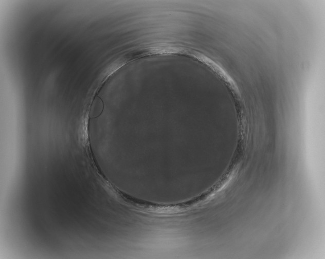X0000101100889200807241026