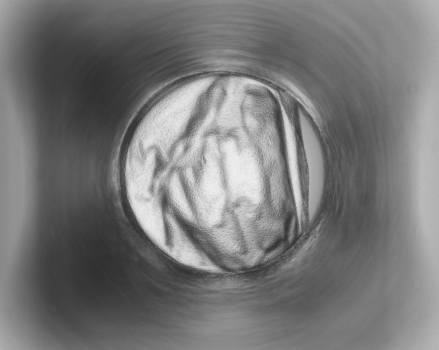 X0000101100891200807241025