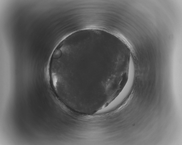 X0000101100892200807241025