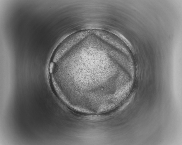 X0000101100893200807241025
