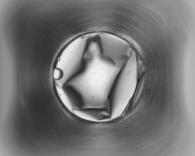 X0000101100894200807241025