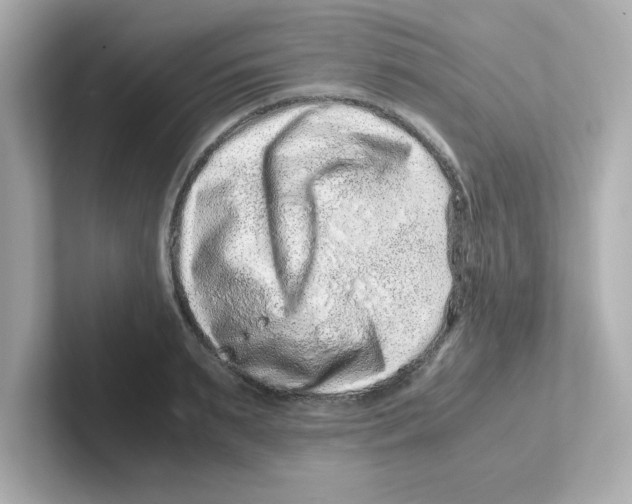 X0000101100895200807241025