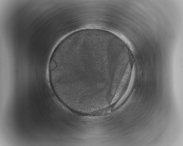 X0000101100896200807241025
