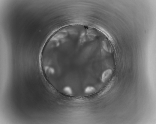X0000101100899200807241025