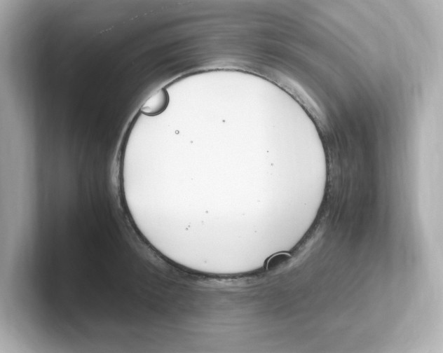 X0000101100900200807241025