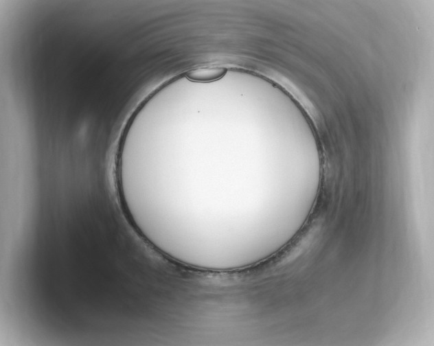 X0000101100901200807241025