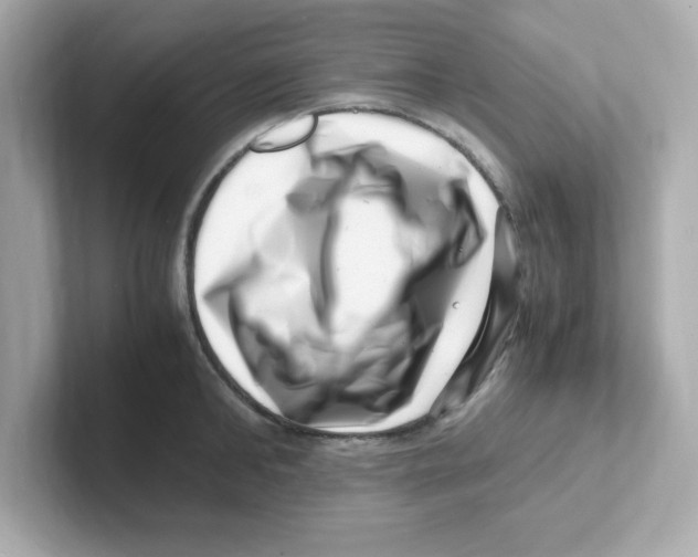 X0000101100902200807241025