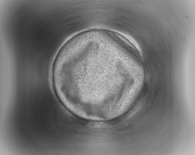 X0000101100903200807241025