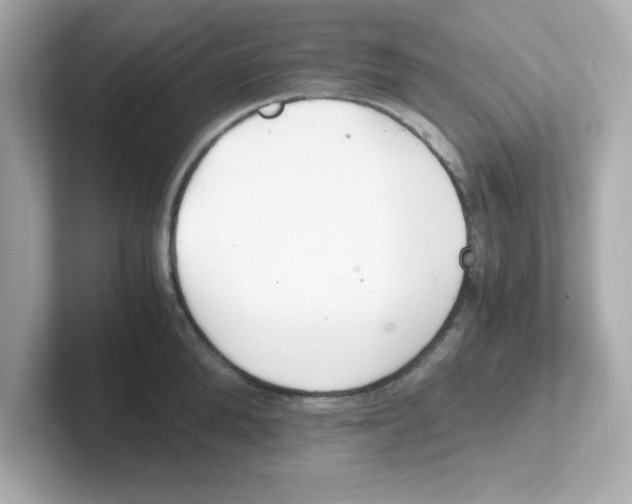 X0000101100904200807241025