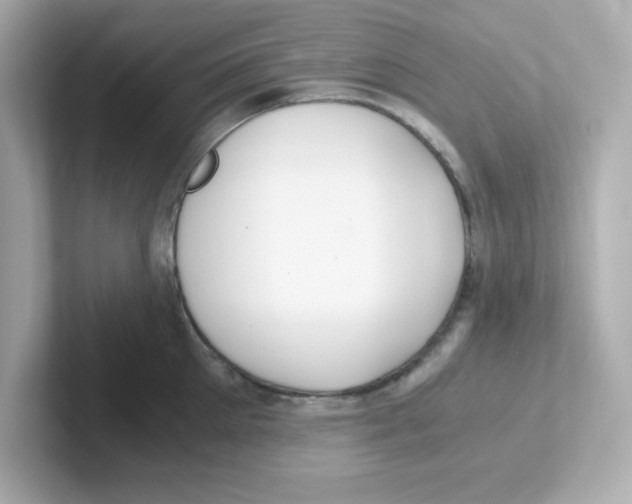 X0000101100905200807241025