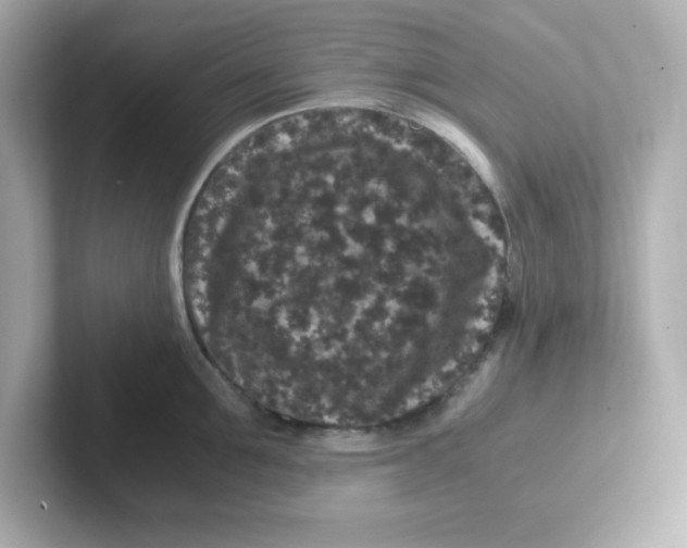 X0000101100907200807241025