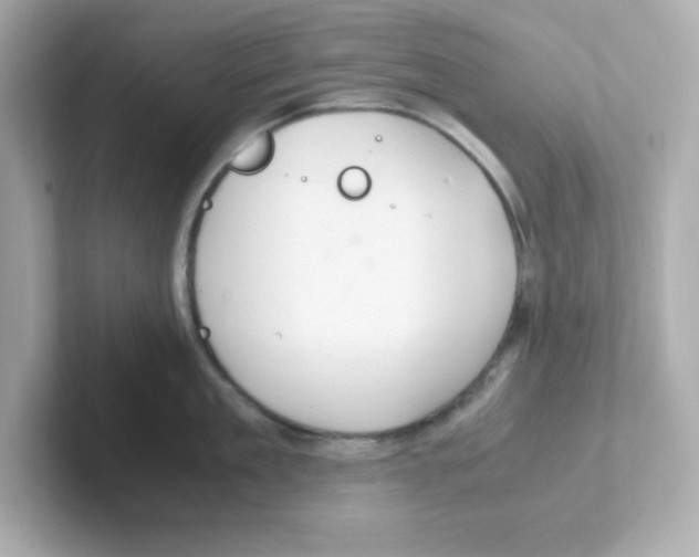 X0000101100909200807241025