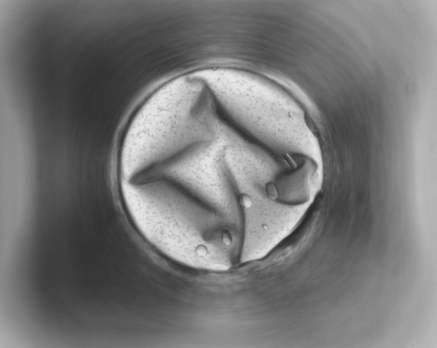 X0000101100910200807241025